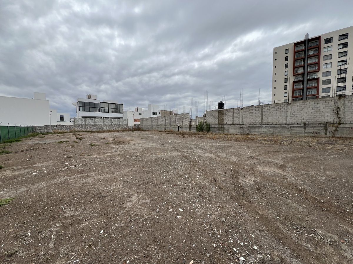 8 of 11: Interior del terreno