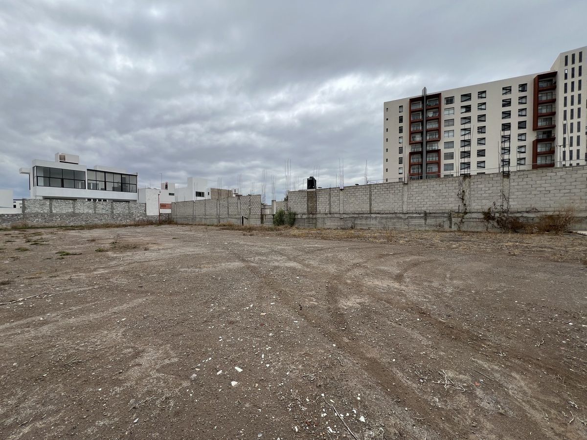 7 of 11: Interior del terreno