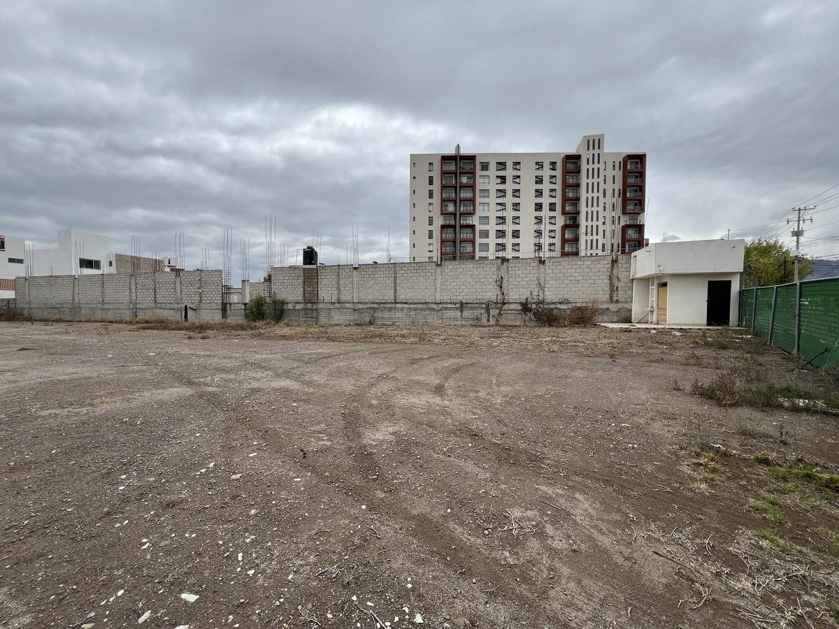 6 of 11: Interior del terreno