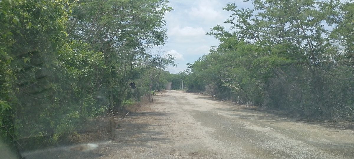 Terreno en Venta muy cerca al Tecnológico, Conkal Mérida, Yucatán - foto 3