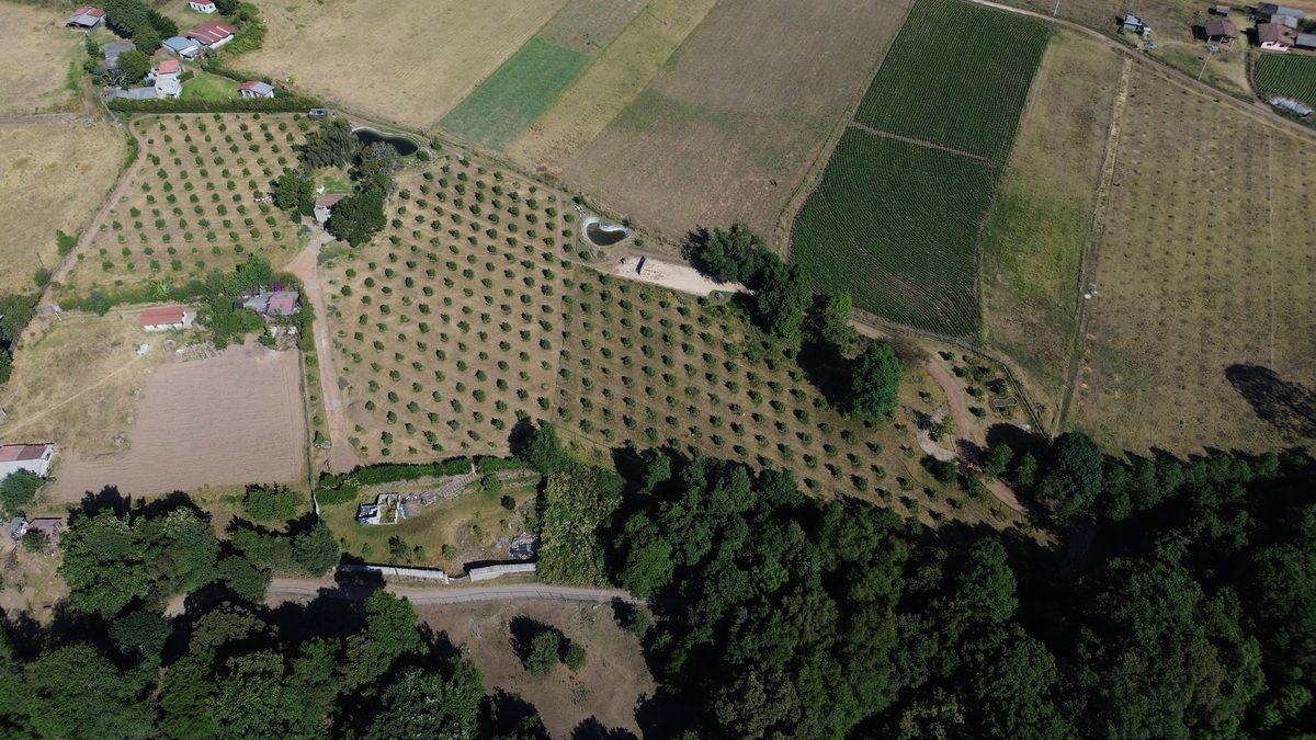 2 de 15: Vista aérea