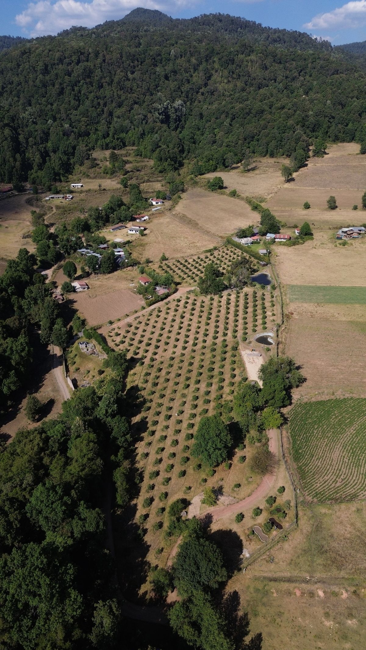 3 de 15: Vista aérea