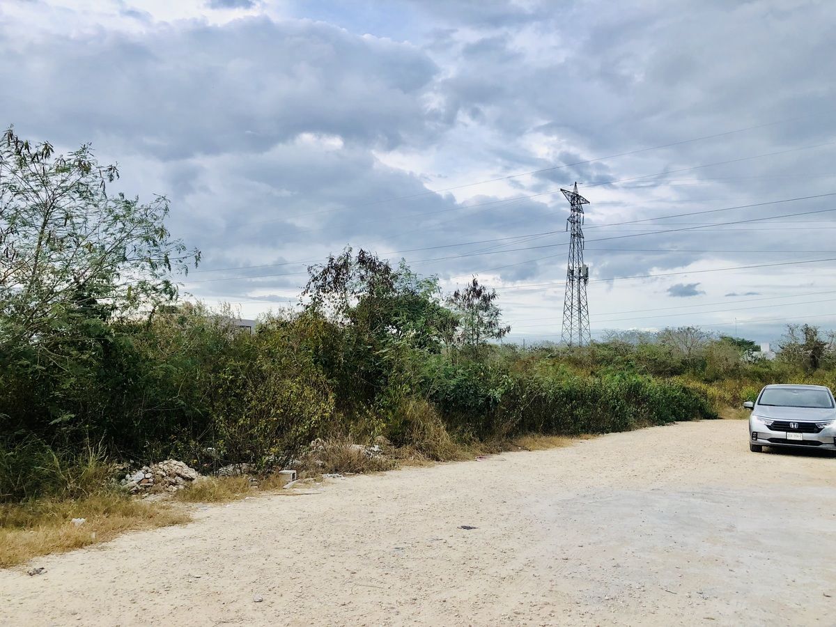 Lot in Santa Gertrudis Copo, Mérida, photo 2 of 5
