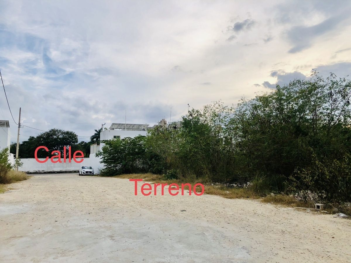 Lot in Santa Gertrudis Copo, Mérida, photo 3 of 5