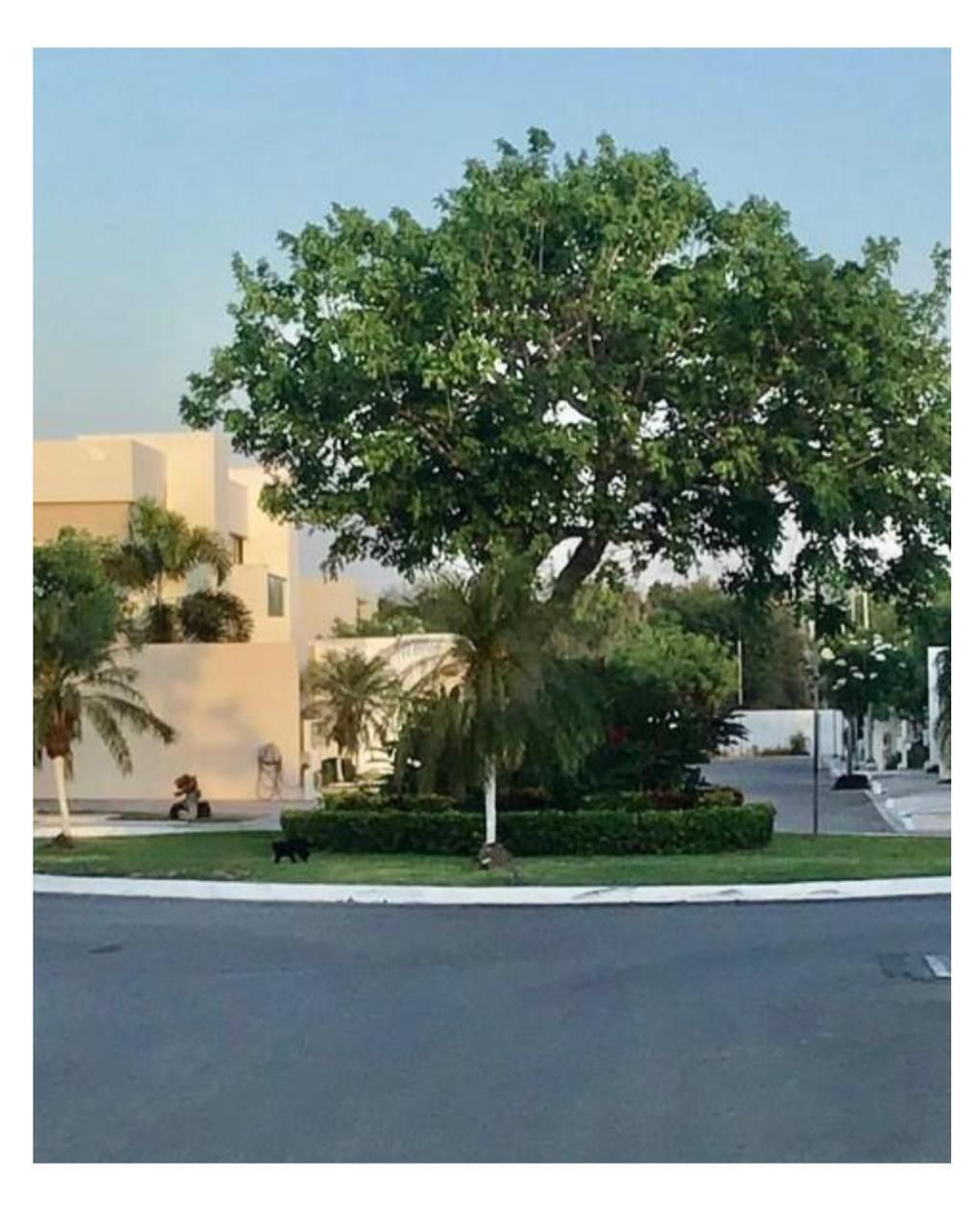 Casa en condominio en Real de Conkal, Conkal, foto 12 de 12