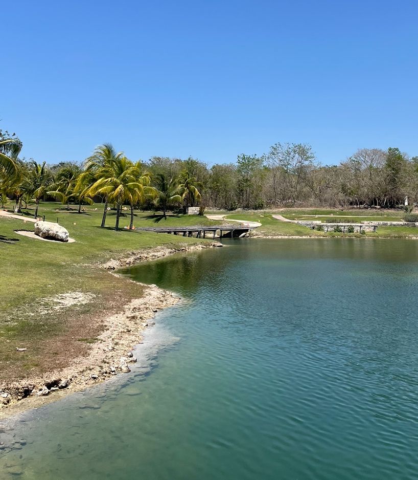 12 de 16: Espalda del terreno con vista al lago