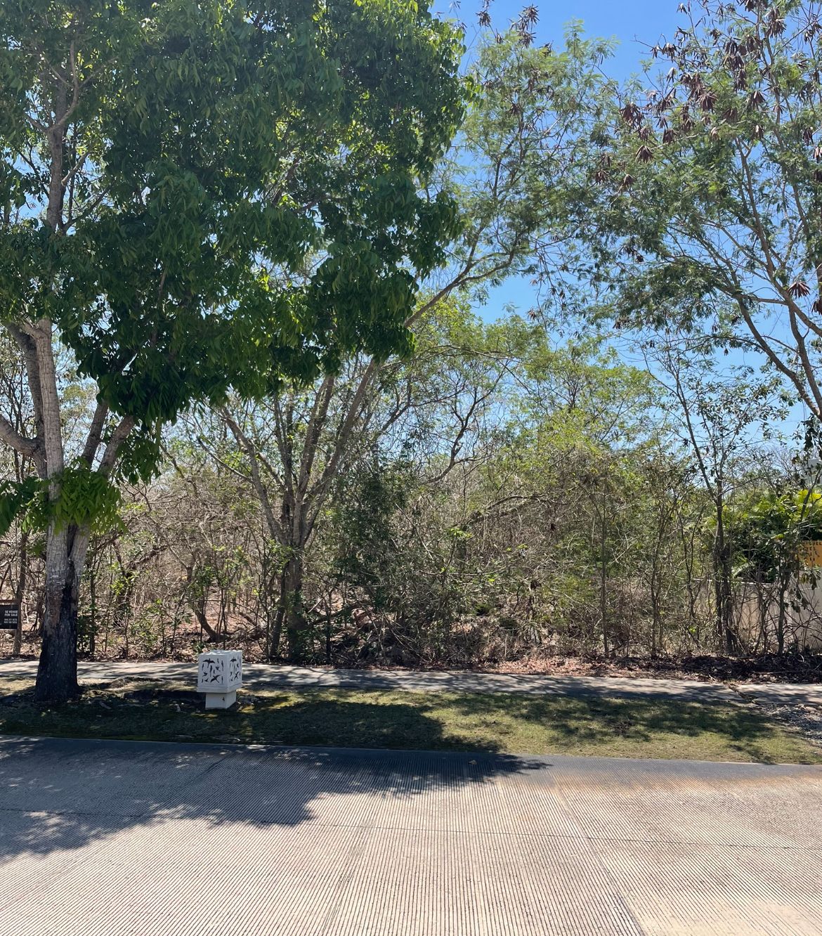 11 de 16: Frente del terreno