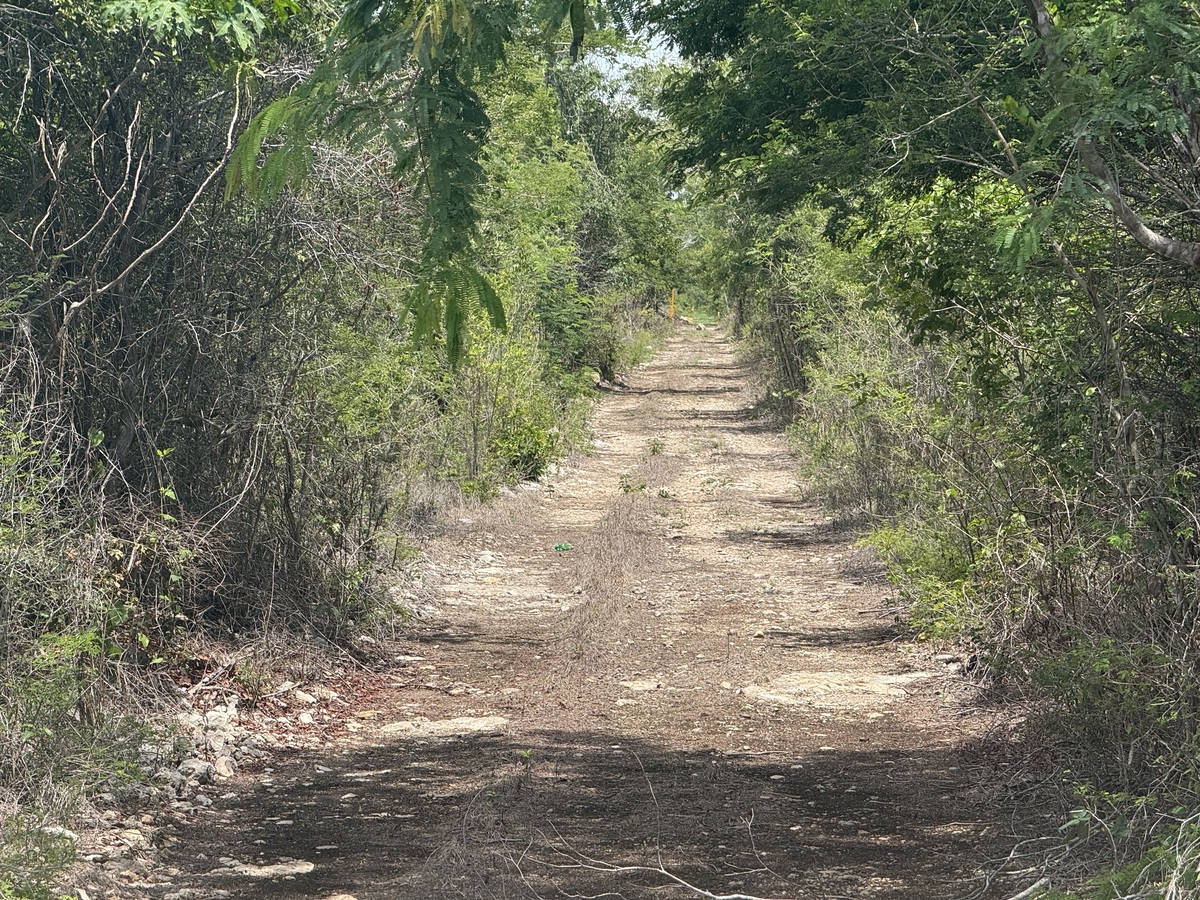 11 de 17