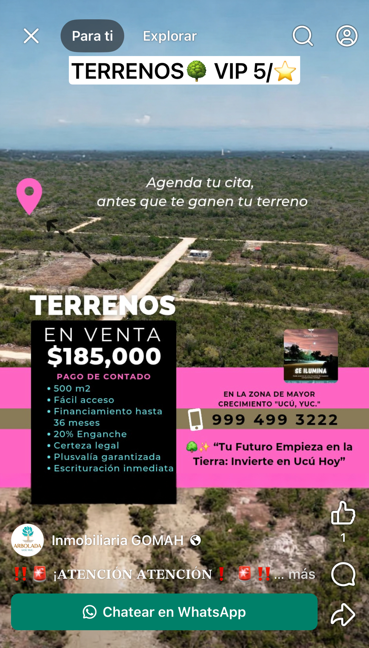 16 de 17