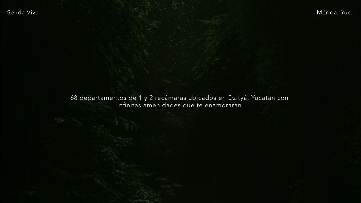 3 de 26