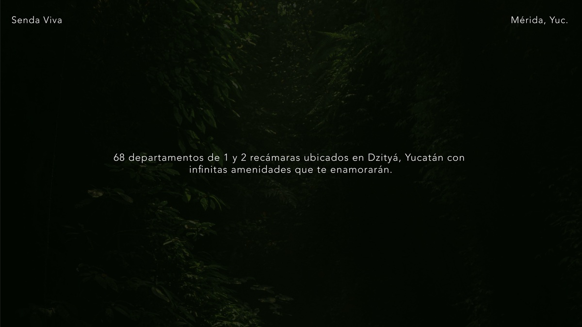 4 de 26