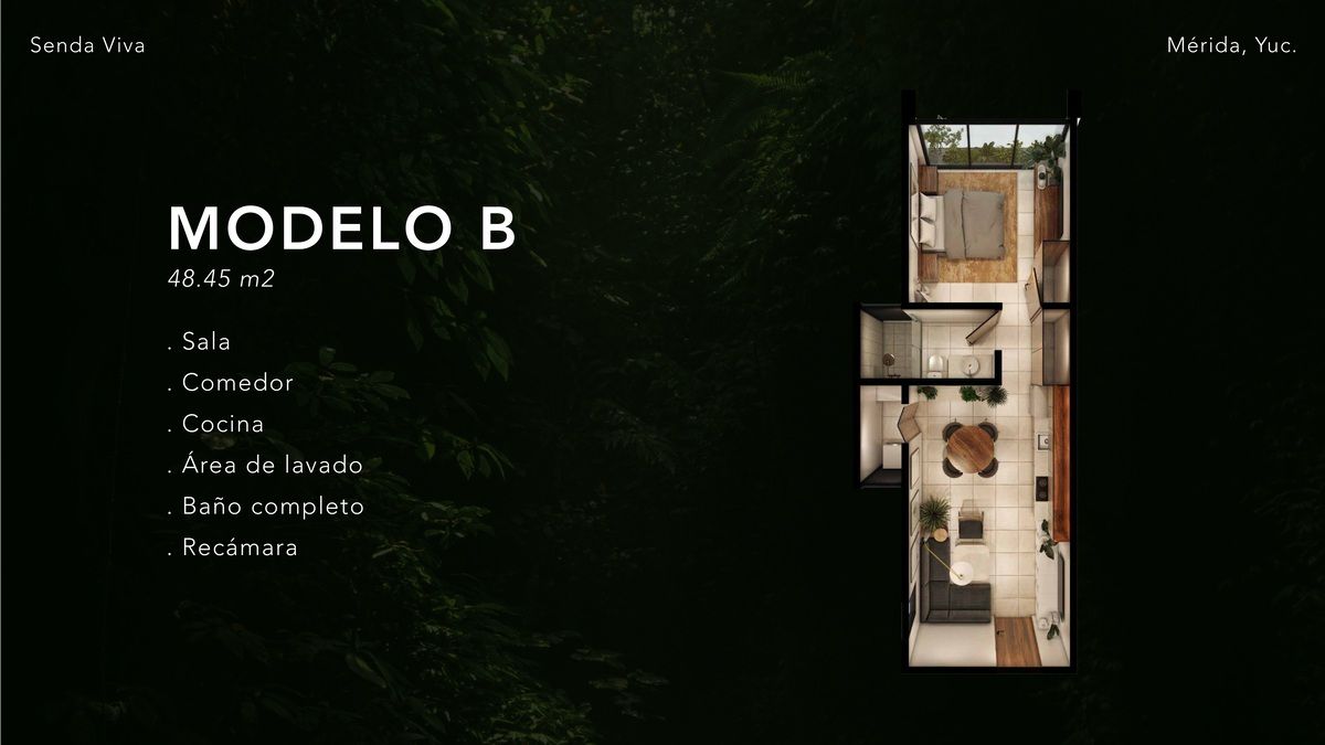 5 de 26