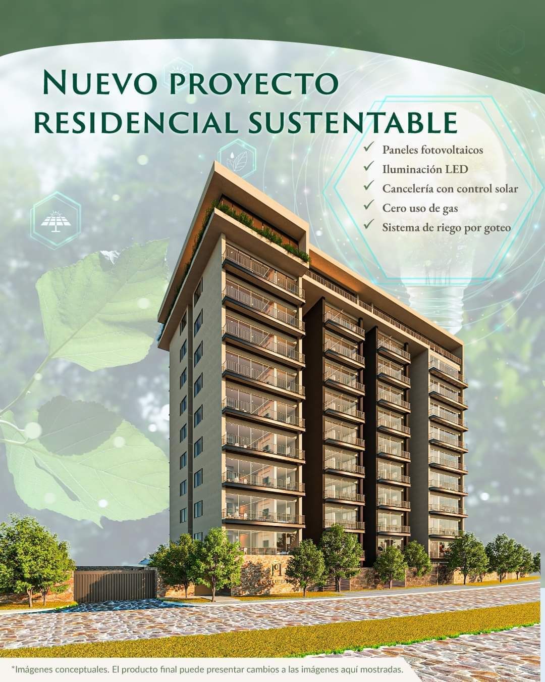 Imagen 1 de 10