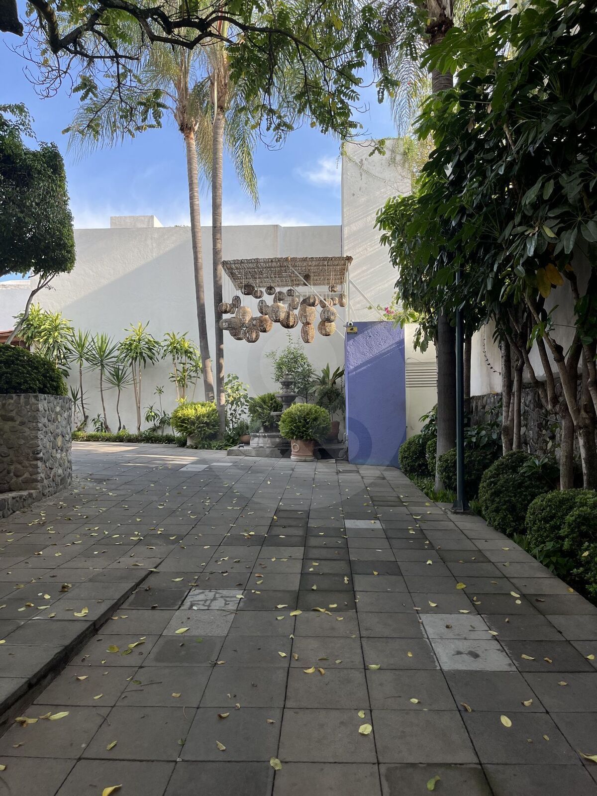 11 de 50