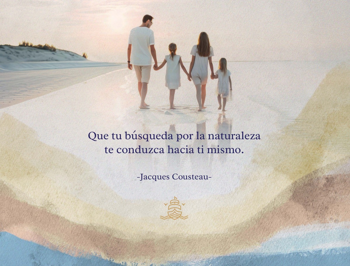 17 de 24