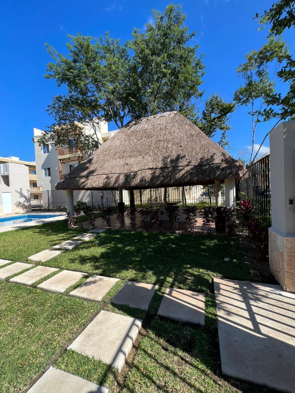 3 de 11: Palapa