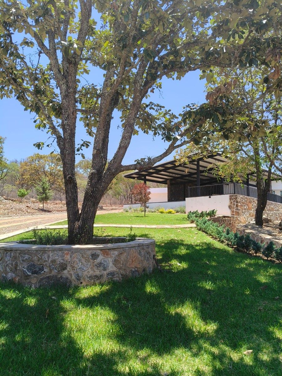 Terreno en Los Robles, Zapopan, foto 31 de 41