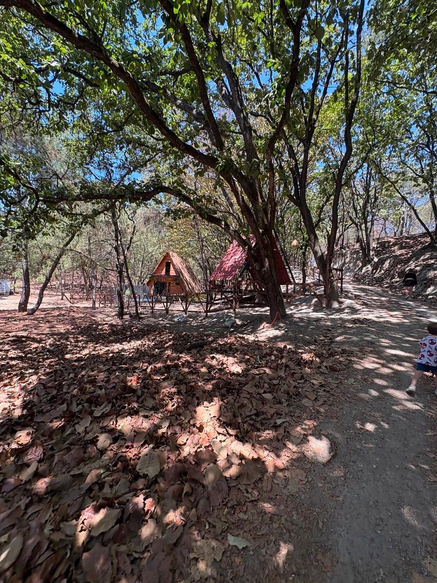 Terreno en Los Robles, Zapopan, foto 36 de 41