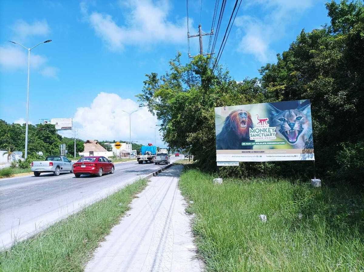 4 of 6