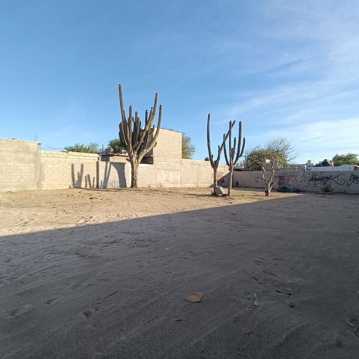 10 de 15: Terreno