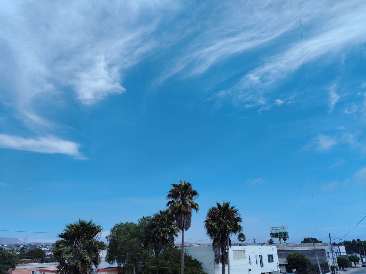 11 de 24