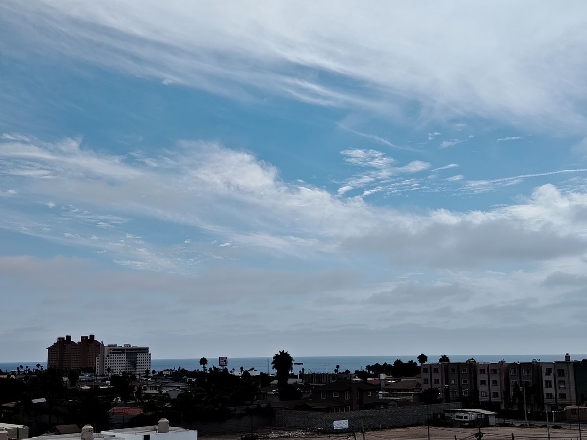 19 de 24