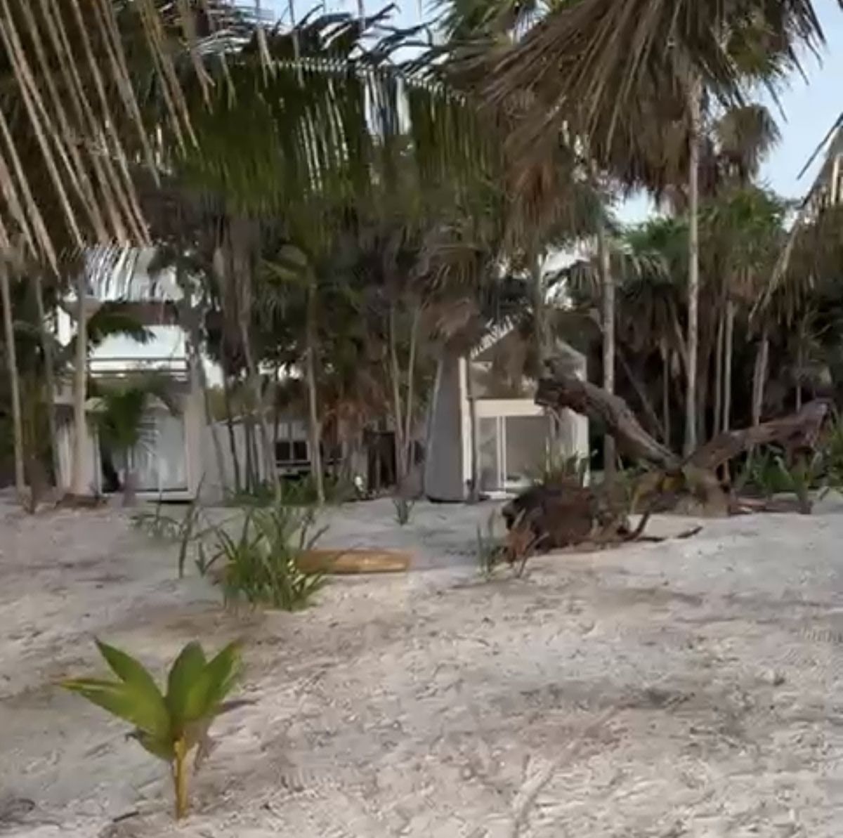 Beachfront Mahahual House. - foto 4