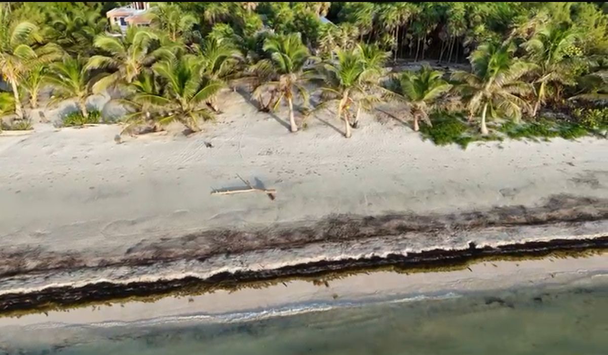 Beachfront Mahahual House. - foto 3