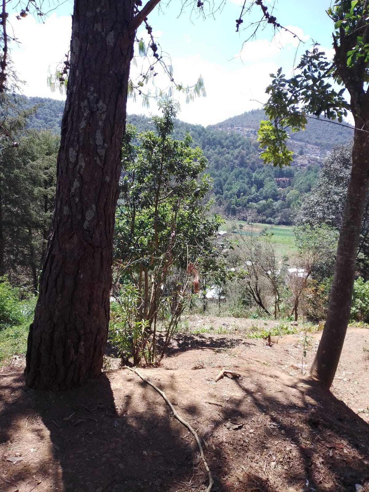 TERRENO EN VENTA EN LA GARITA SAN CRISTÓBAL DE LAS CASAS CHIAPAS - foto 5