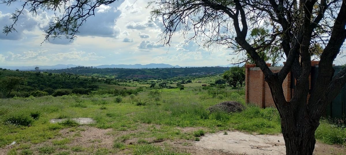 Vista panorámica