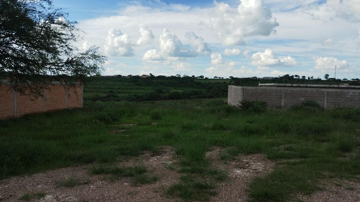 Costado de los terrenos