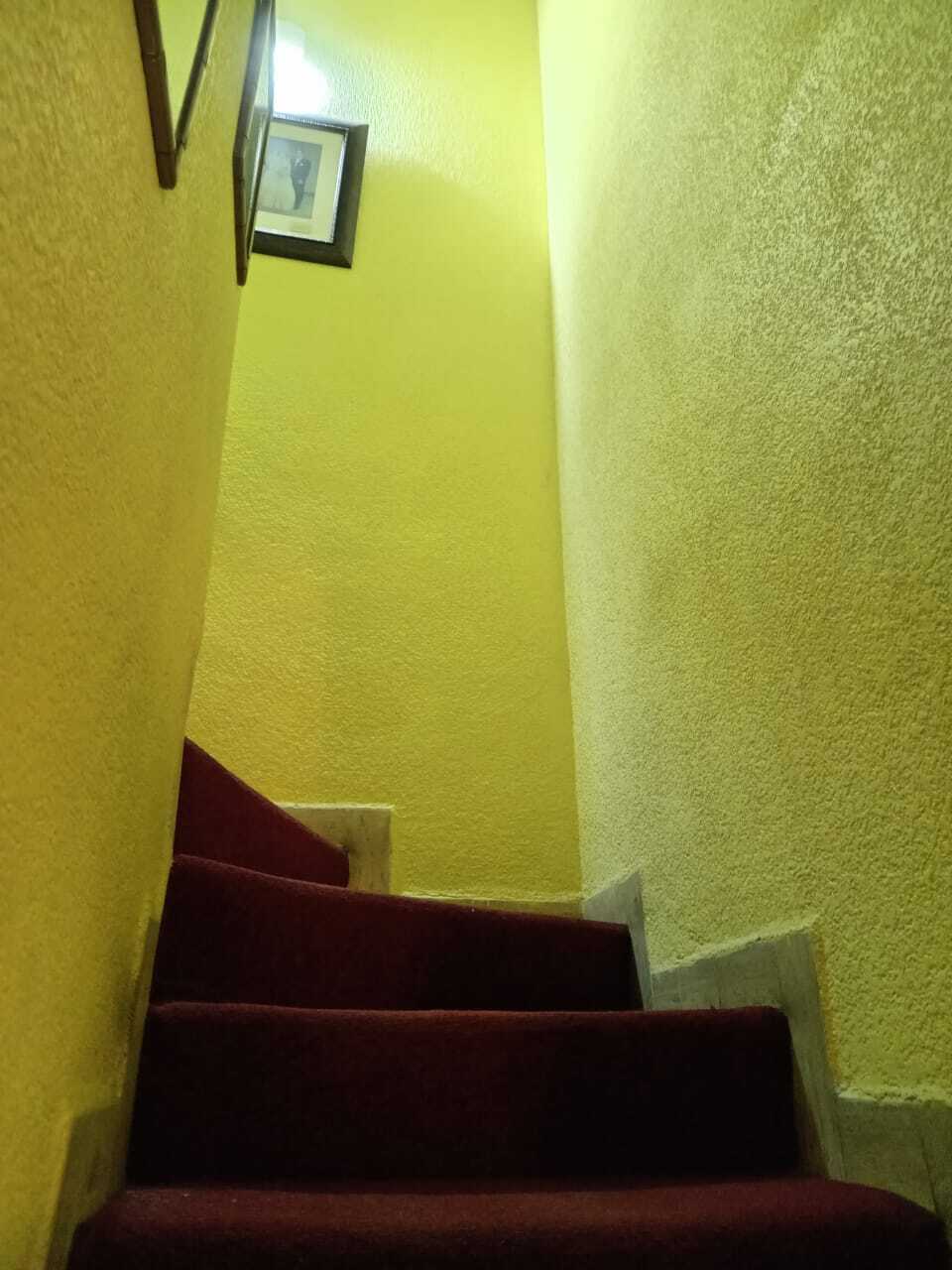 12 de 13