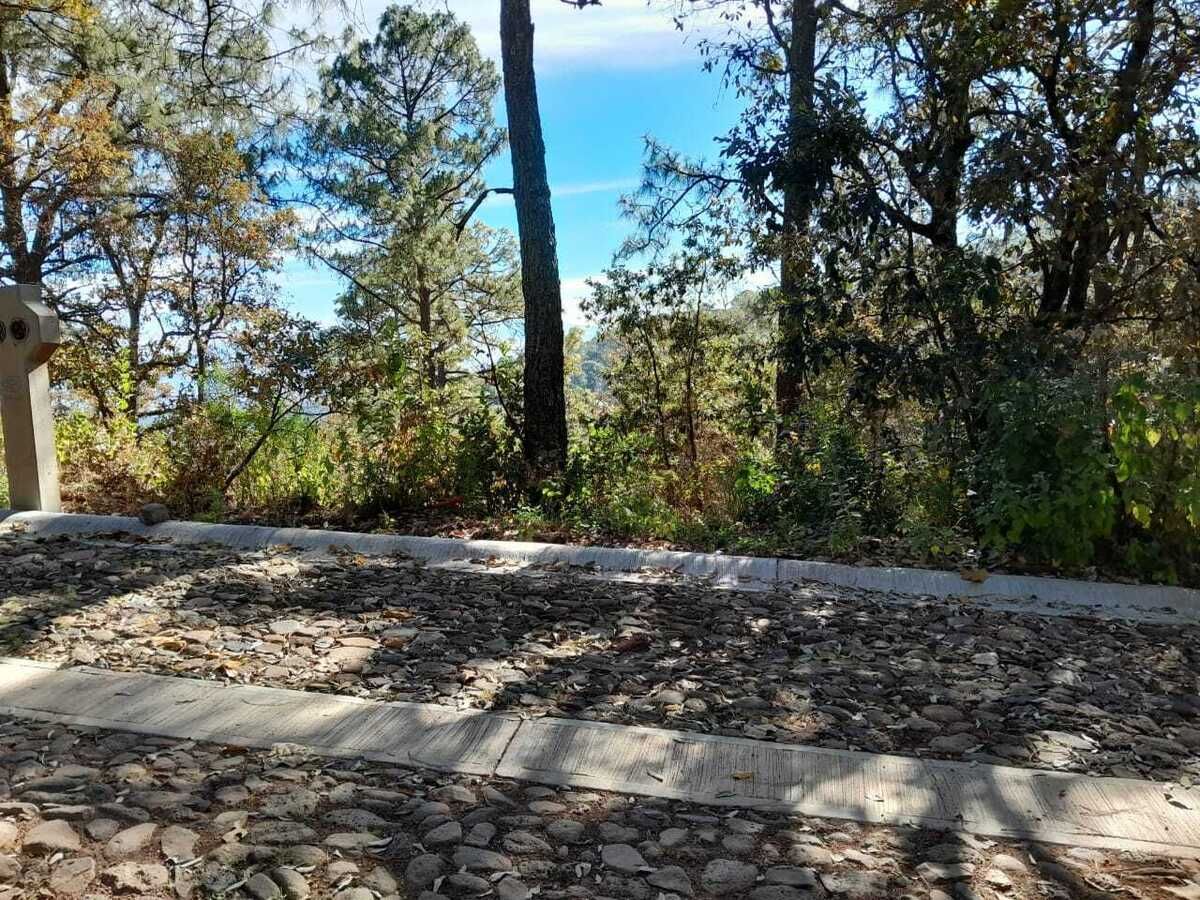 2 de 6