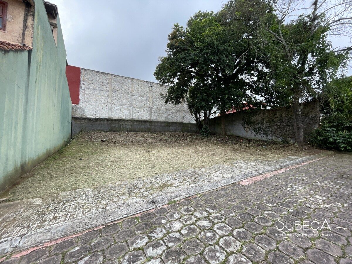 6 de 10