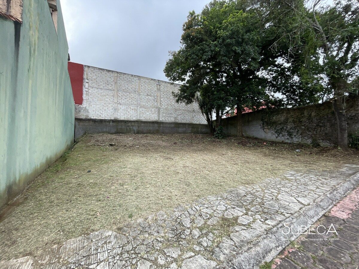 7 de 10