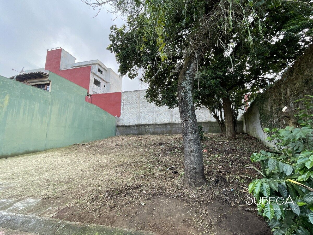 8 de 10