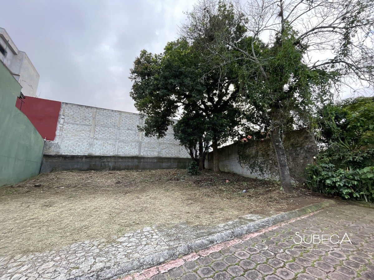 10 de 10