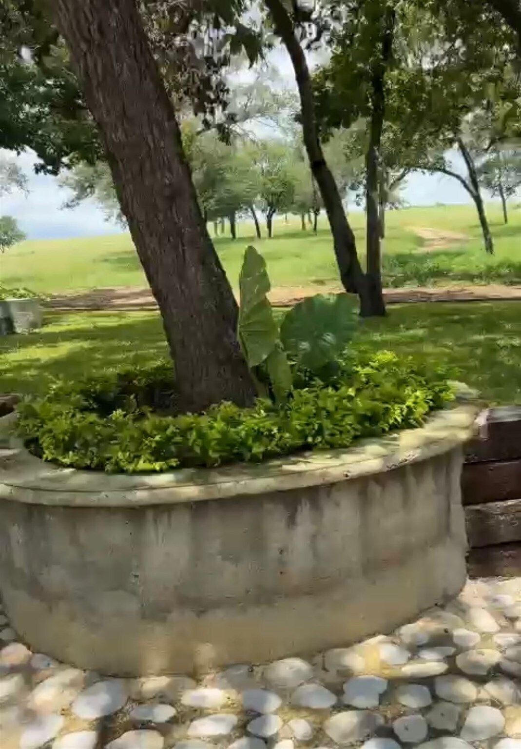 4 de 24