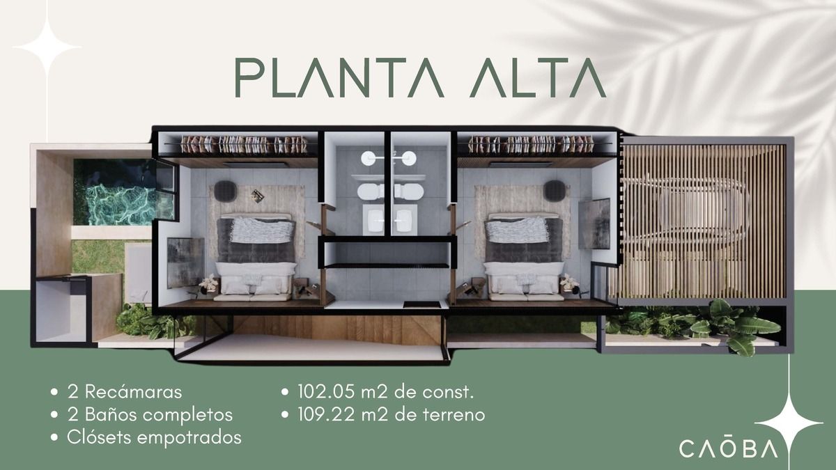 5 de 15