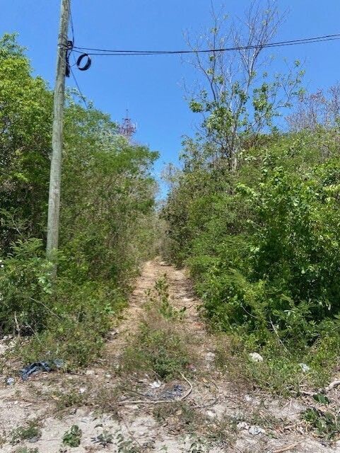 Excelentes lotes a solo 100 metros de carretera Cancún - Puerto Morelos