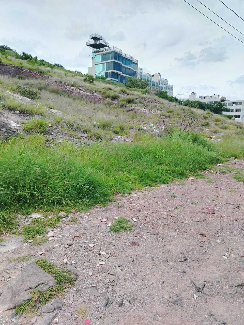 4 de 8