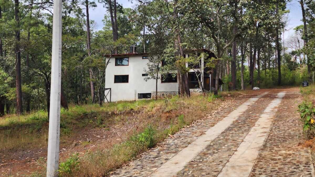 VENTA de Lote de 604.44 mts en Paso del Ciervo - foto 4