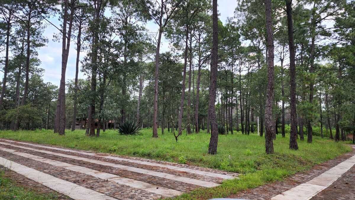 VENTA de Lote de 604.44 mts en Paso del Ciervo - foto 3