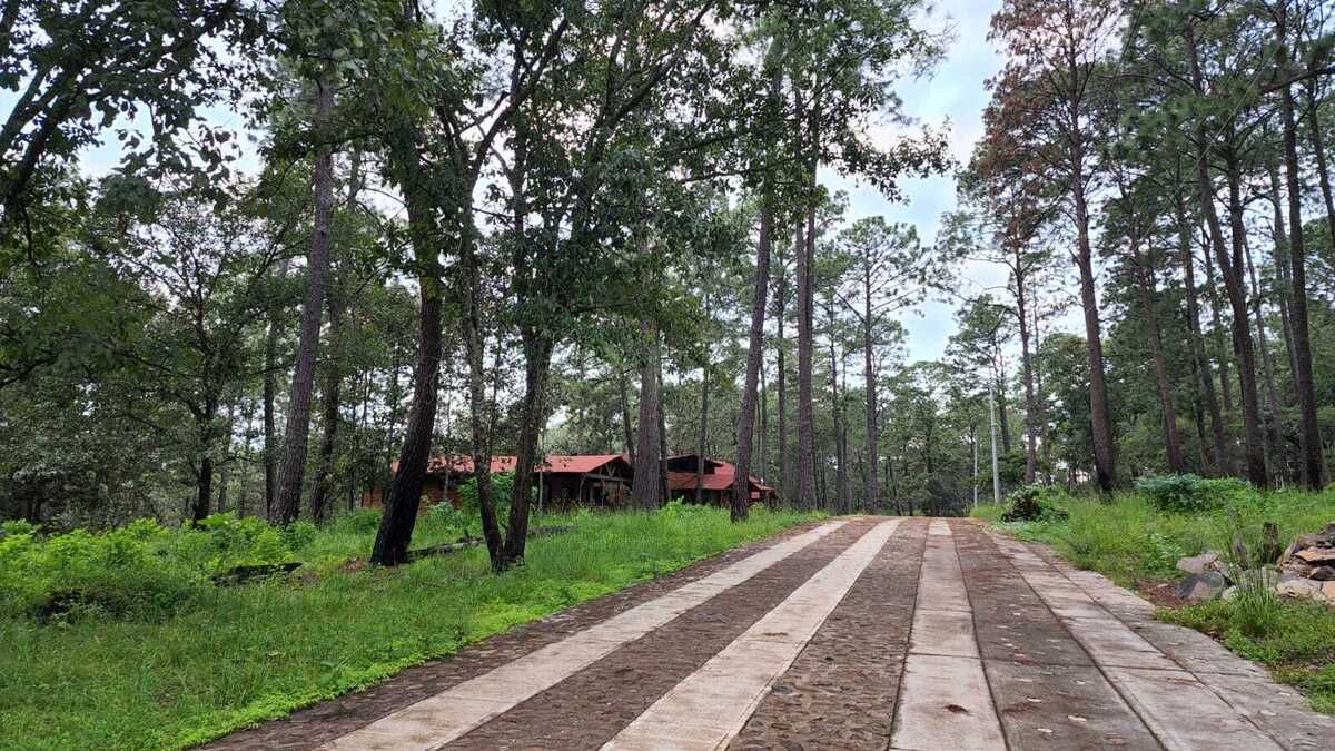 VENTA de Lote de 604.44 mts en Paso del Ciervo - foto 2