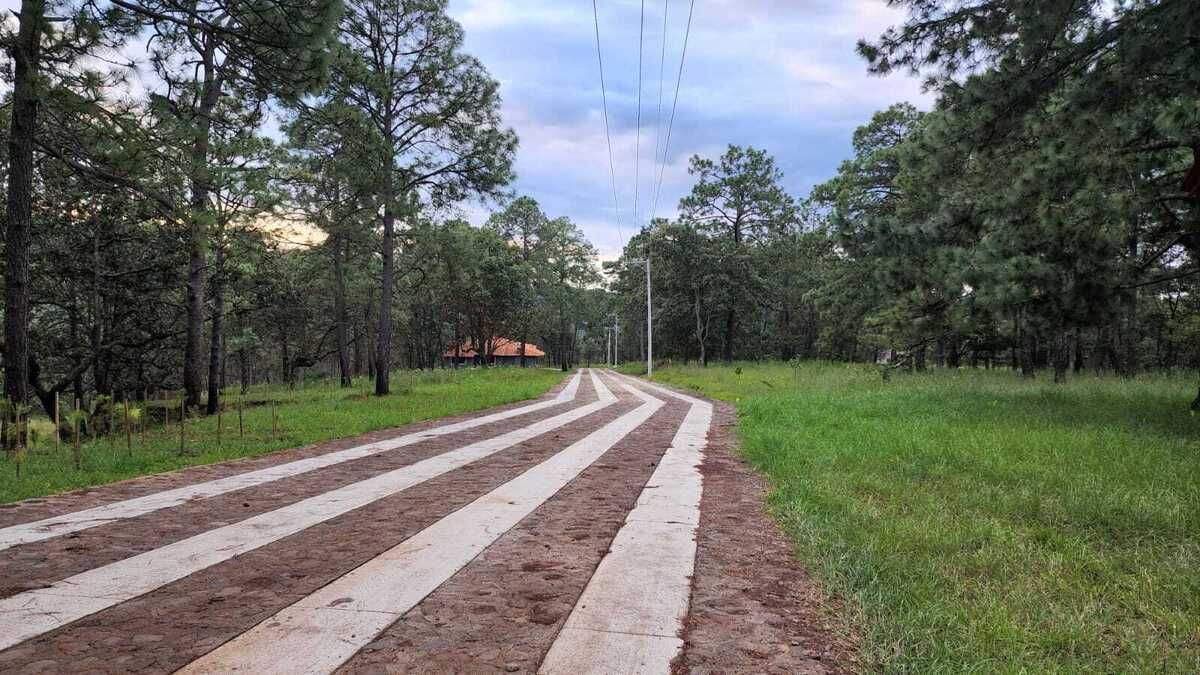 VENTA de Lote de 604.44 mts en Paso del Ciervo - foto 5