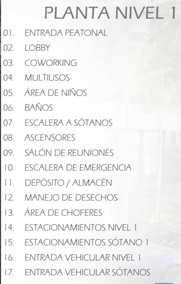 6 de 17