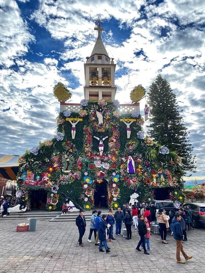 3 de 12