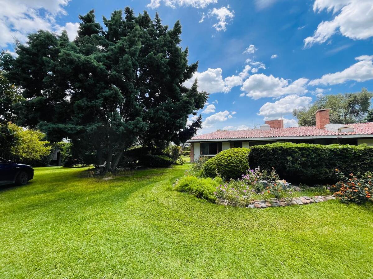 Green Gardens around the house