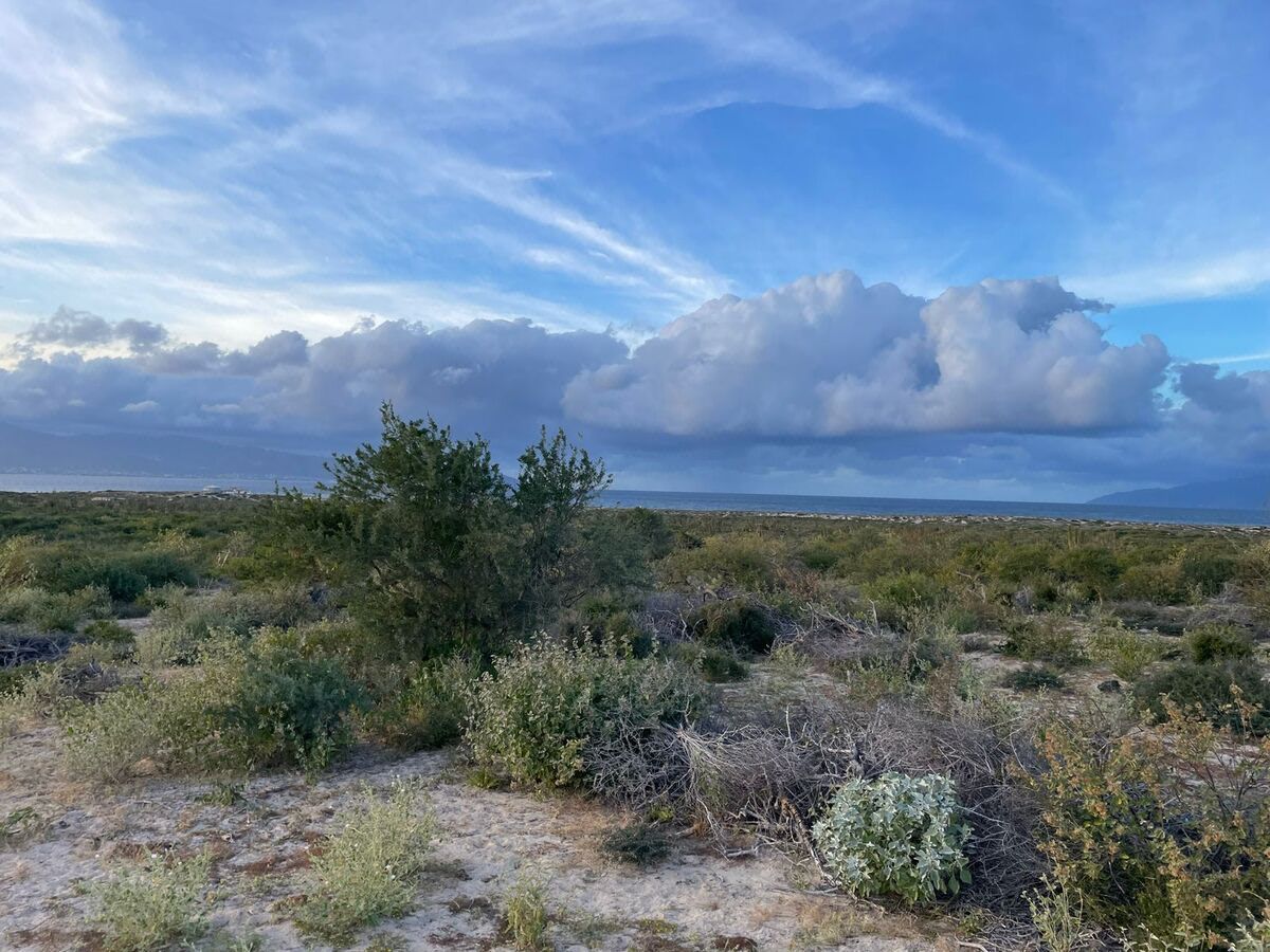 1 Hectare Turquoise Bay - foto 1