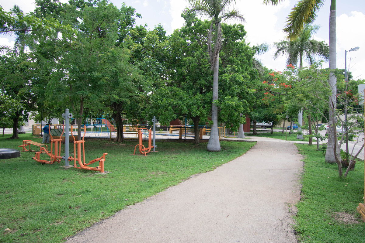 11 de 25